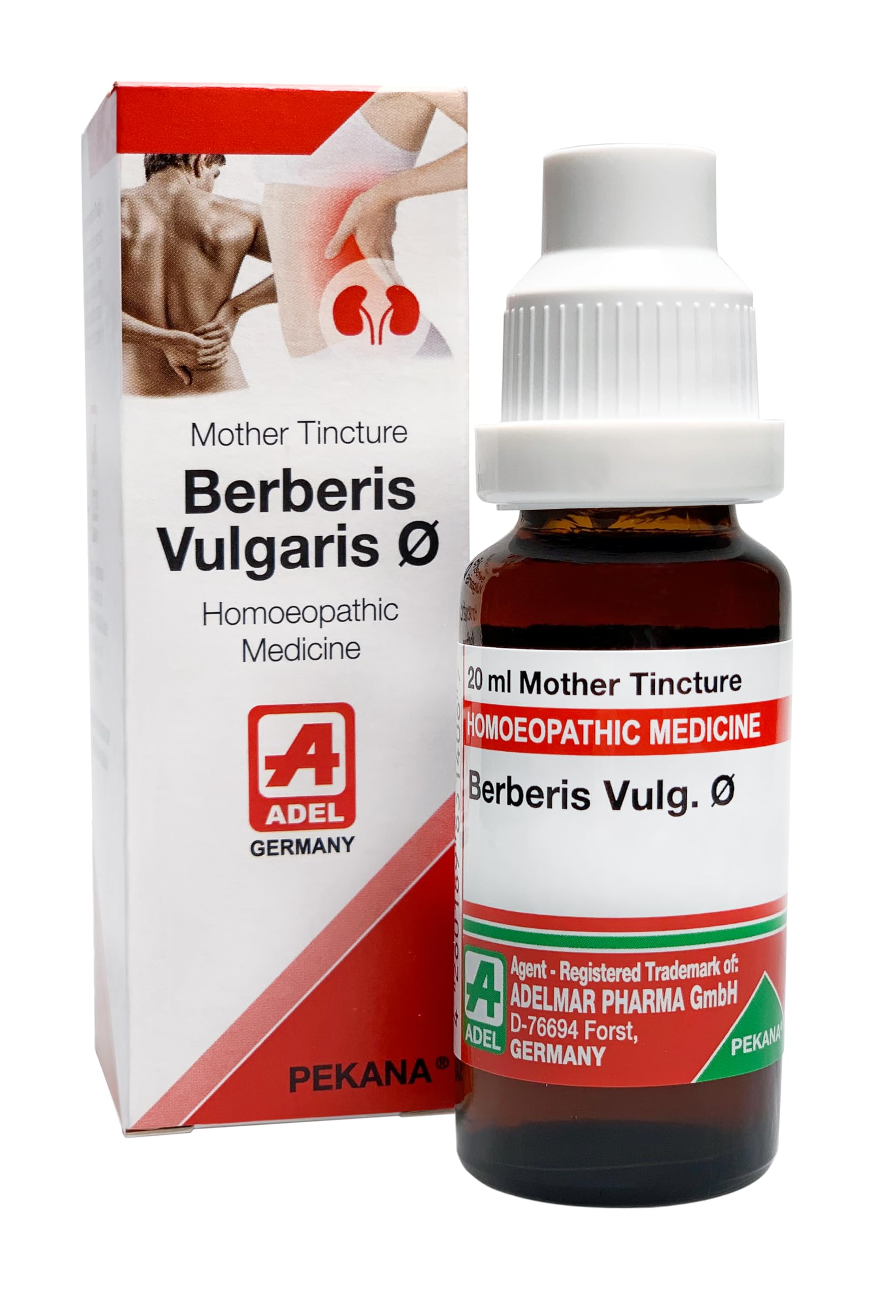 Dr. Reckeweg Berberis Vulgaris 12X Standard